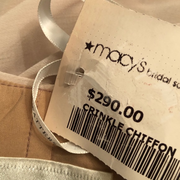 NWT! WATTERS FRENCH VANILLA CRINKLE CHIFFON DRESS - Picture 4 of 12